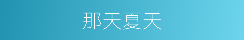 那天夏天的同义词