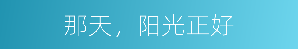 那天，阳光正好的同义词