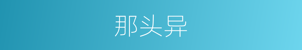 那头异的同义词