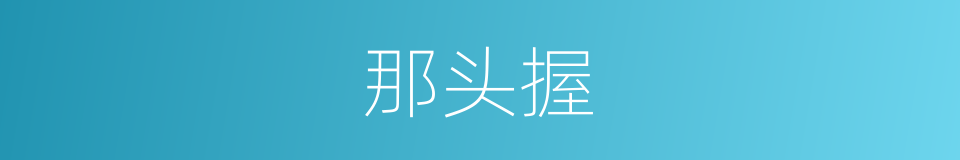 那头握的同义词