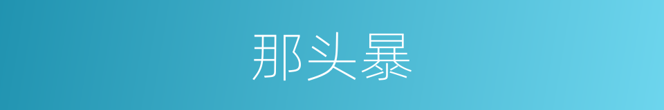 那头暴的同义词