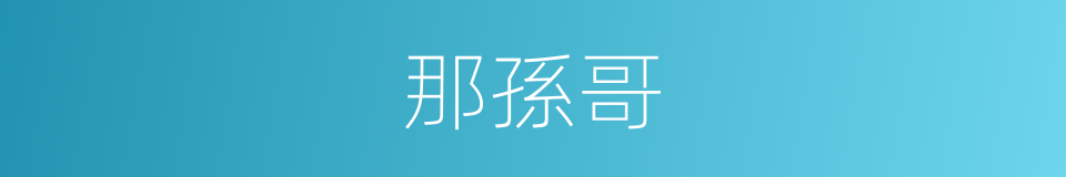 那孫哥的同義詞