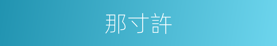 那寸許的同義詞