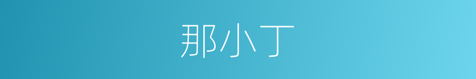 那小丁的同义词