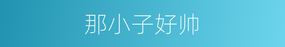 那小子好帅的同义词