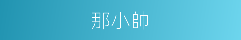 那小帥的同義詞