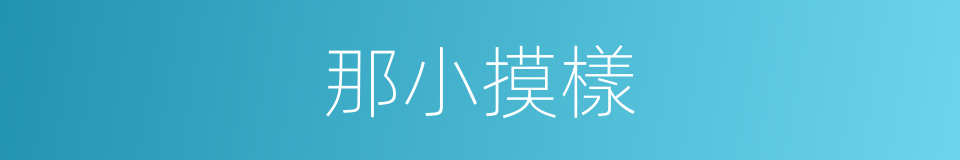 那小摸樣的同義詞