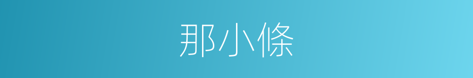 那小條的同義詞