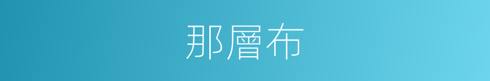 那層布的同義詞