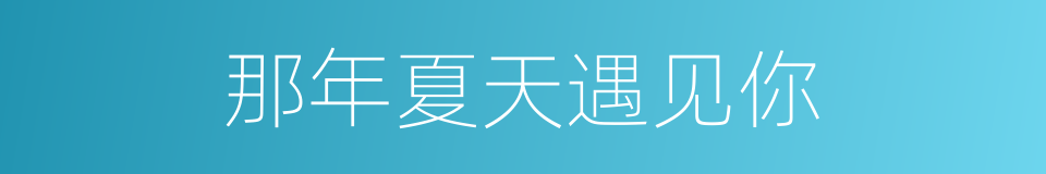 那年夏天遇见你的同义词