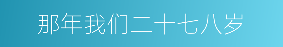 那年我们二十七八岁的同义词