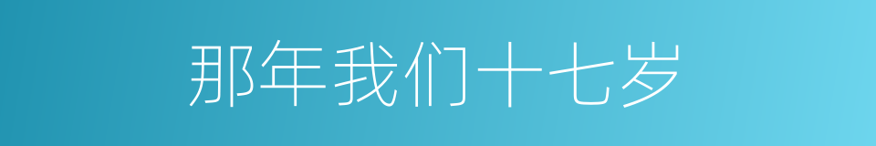 那年我们十七岁的同义词