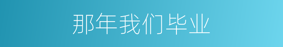 那年我们毕业的同义词