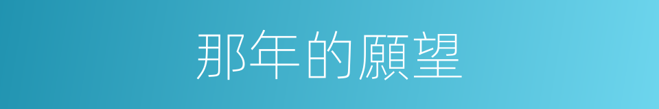 那年的願望的同義詞