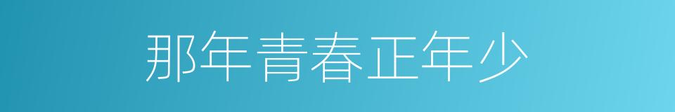 那年青春正年少的同义词