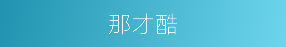 那才酷的同义词