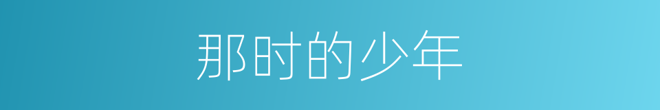 那时的少年的同义词