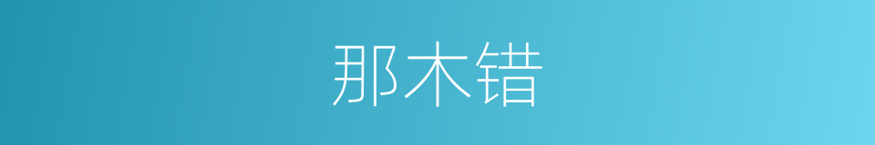 那木错的同义词