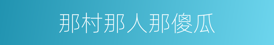 那村那人那傻瓜的同义词