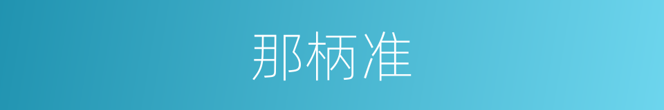 那柄准的同义词