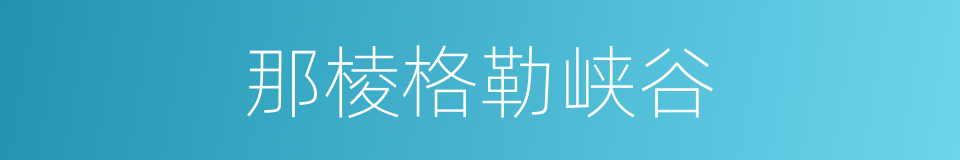 那棱格勒峡谷的同义词
