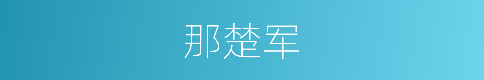 那楚军的同义词