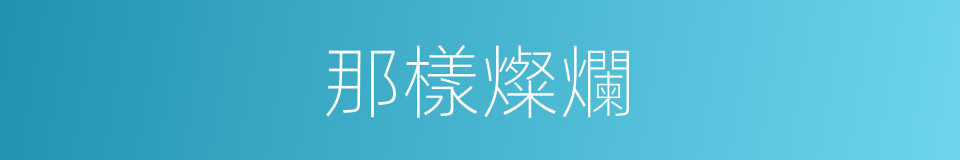 那樣燦爛的同義詞