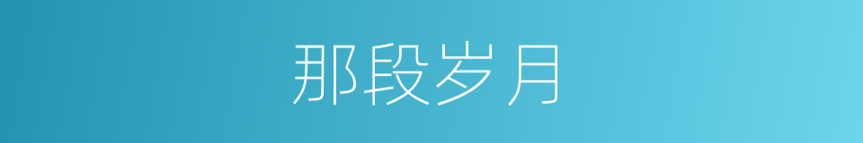 那段岁月的同义词