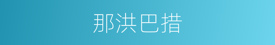 那洪巴措的同义词