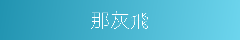 那灰飛的同義詞
