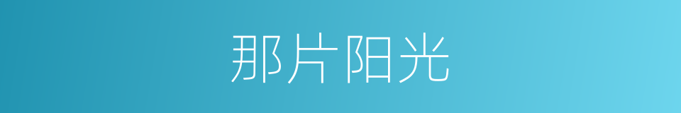 那片阳光的同义词