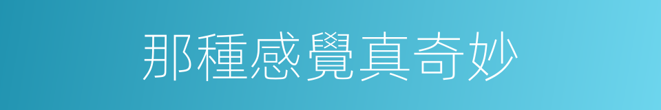 那種感覺真奇妙的同義詞
