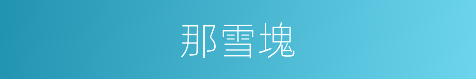 那雪塊的同義詞