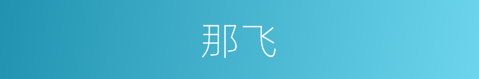 那飞的同义词