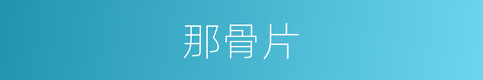 那骨片的同义词