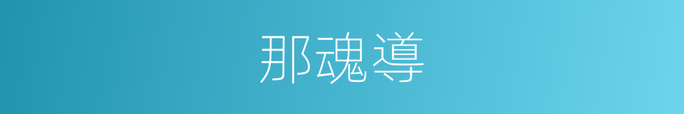 那魂導的同義詞