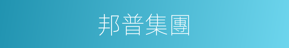 邦普集團的同義詞