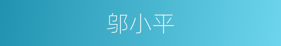 邬小平的同义词