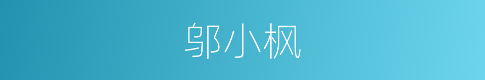 邬小枫的同义词