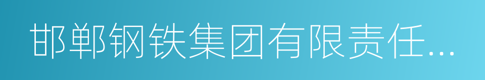 邯郸钢铁集团有限责任公司的同义词