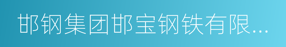 邯钢集团邯宝钢铁有限公司的同义词