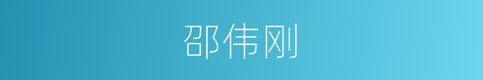 邵伟刚的同义词
