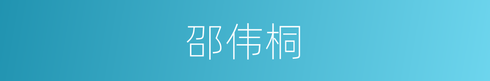 邵伟桐的同义词