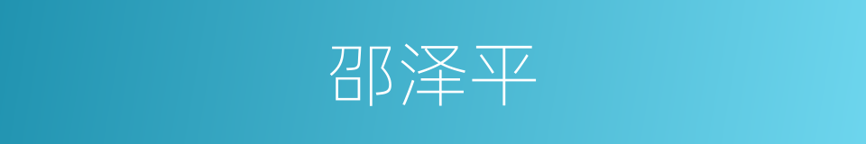 邵泽平的同义词