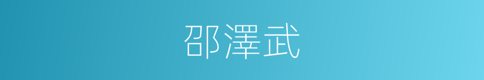 邵澤武的同義詞