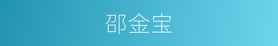 邵金宝的同义词