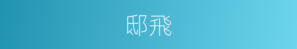 邸飛的同義詞