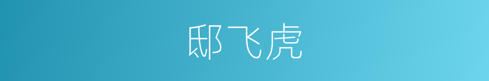 邸飞虎的同义词