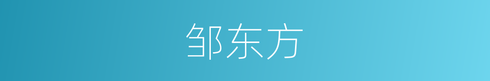 邹东方的同义词