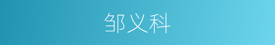 邹义科的同义词